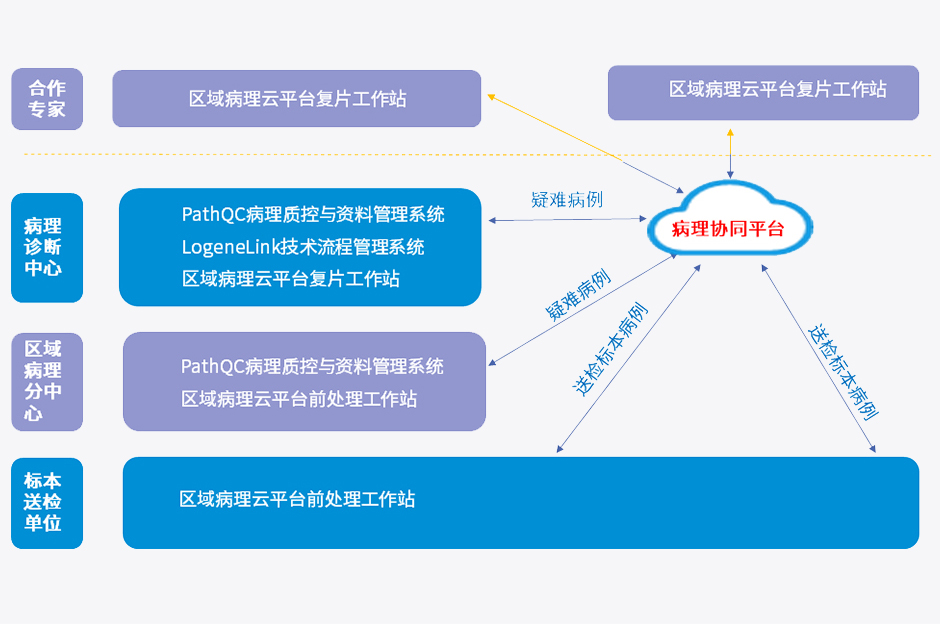 新澳门2024免费原料网