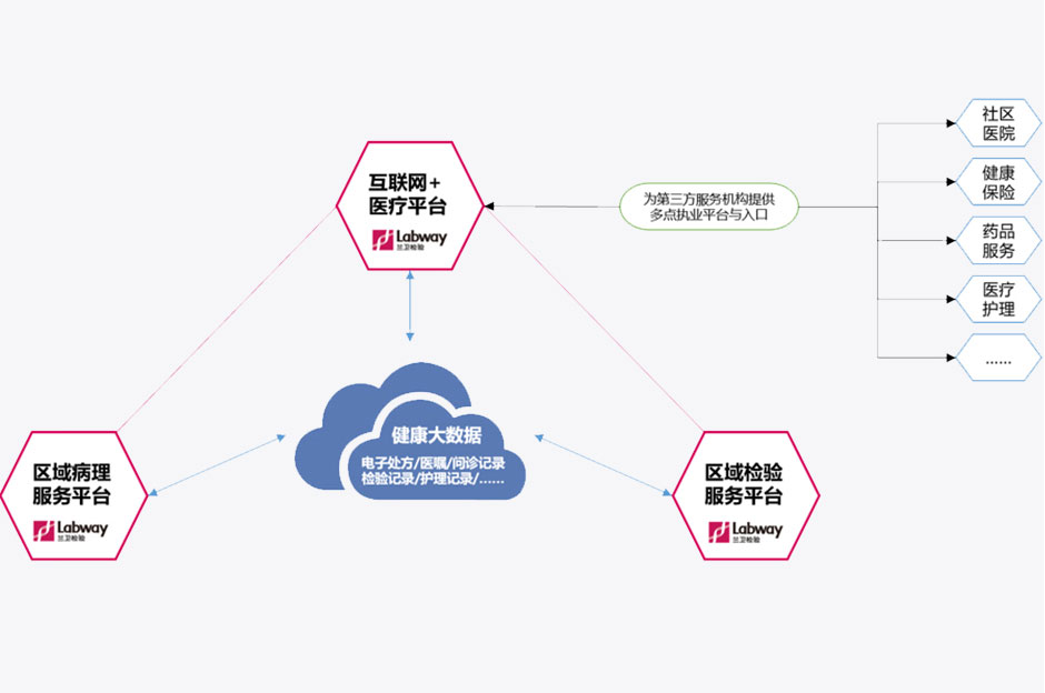 新澳门2024免费原料网