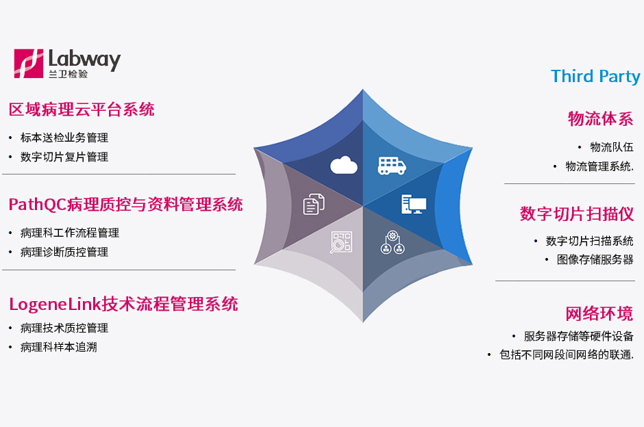 新澳门2024免费原料网