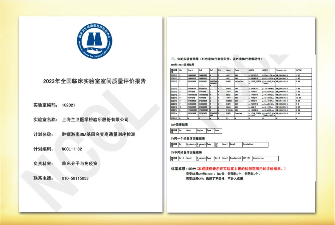 新澳门2024免费原料网