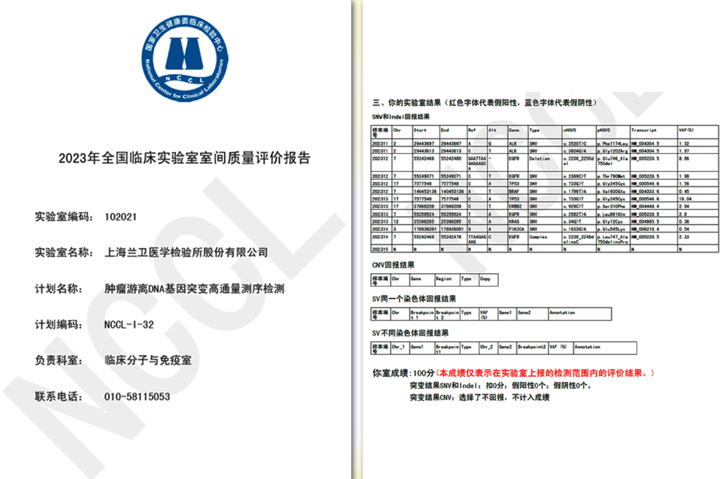 新澳门2024免费原料网